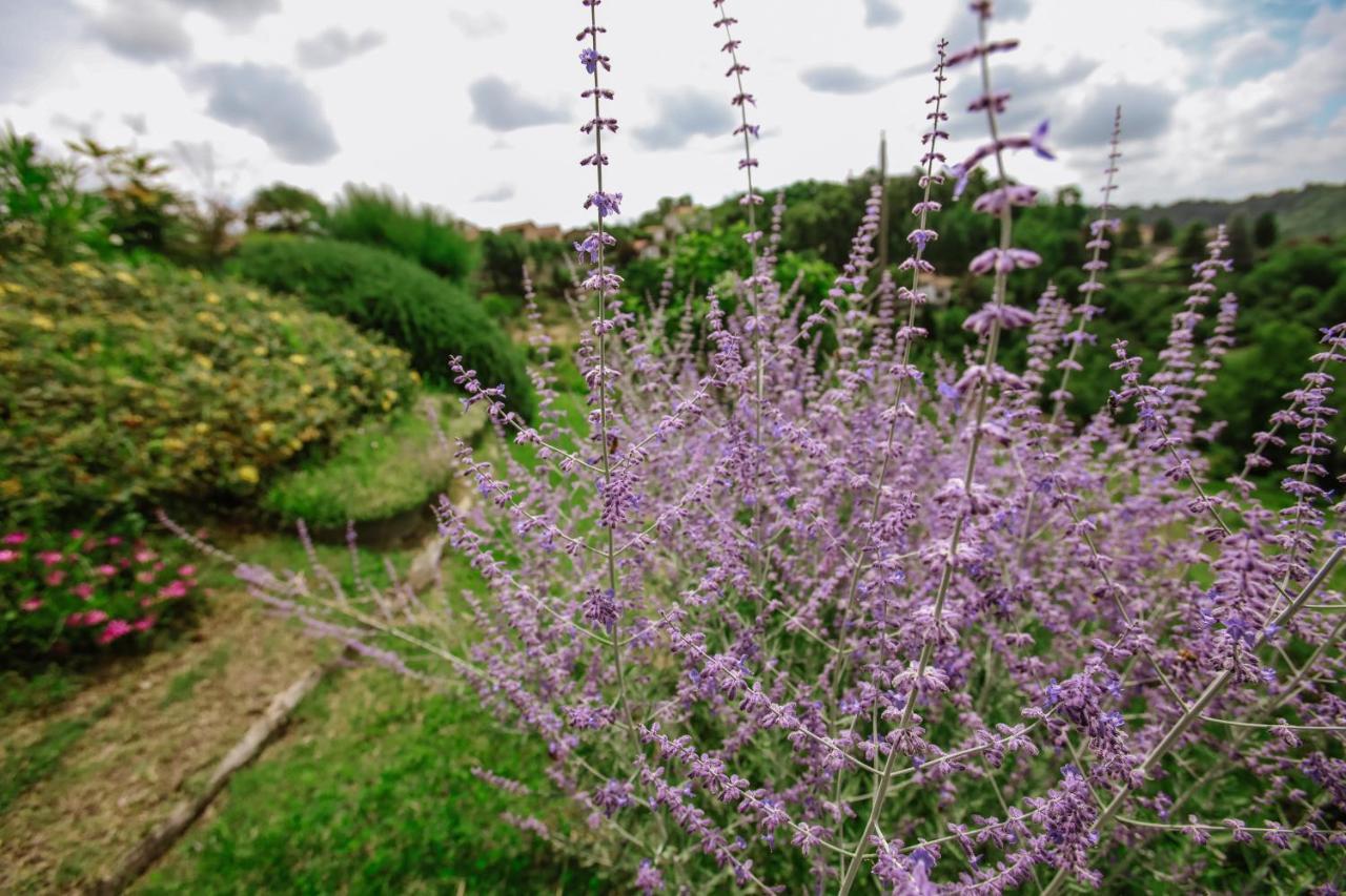 Apartmán Il Pozzo Fiorito Cossombrato Exteriér fotografie
